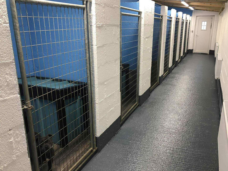 Kennel room